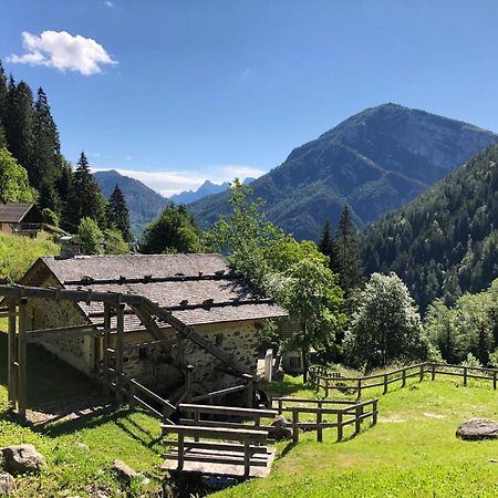 Ronchet Baita Vanoi Trentino Ronco-Chiesa 外观 照片